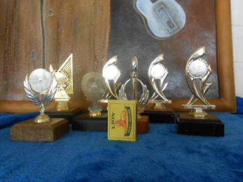 7 SMALL TROPHIES ON WOODEN BASES - PLASTIC TROPHIES 3