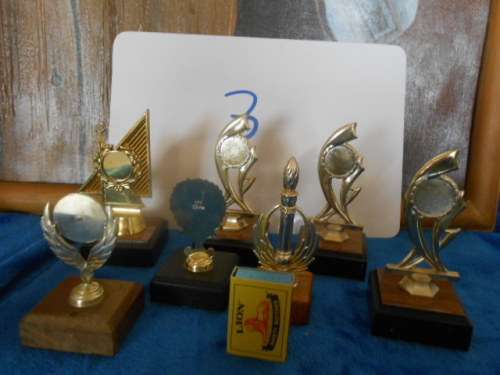 7 SMALL TROPHIES ON WOODEN BASES - PLASTIC TROPHIES 3