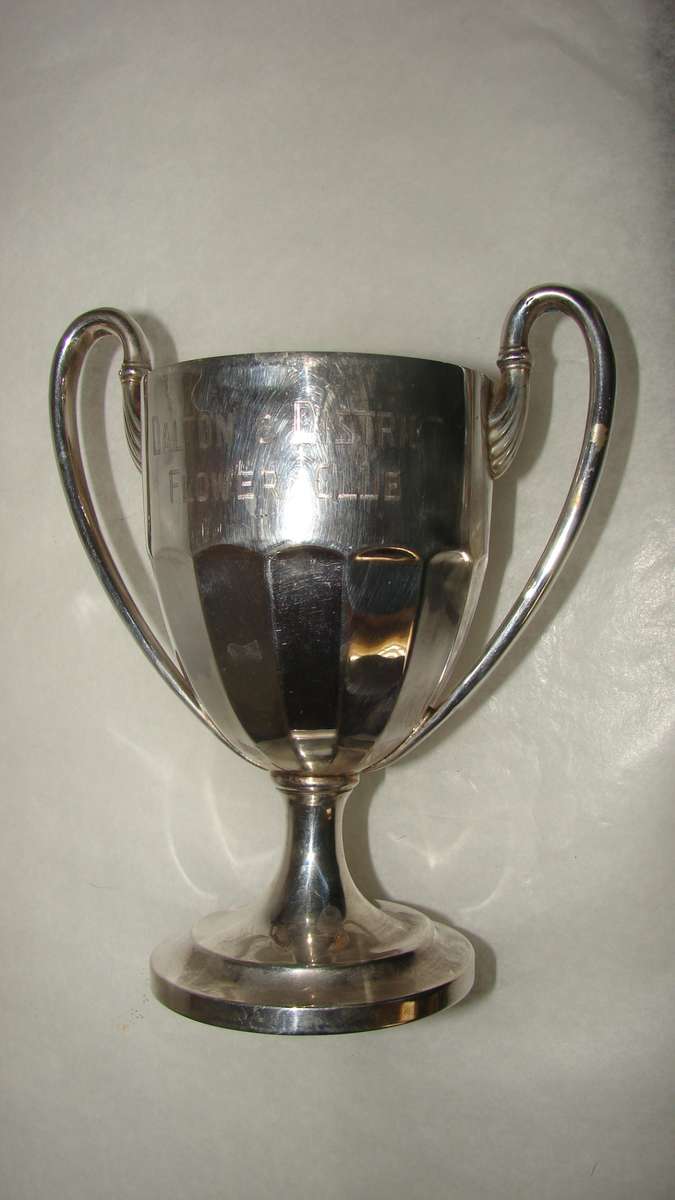 800 Silver Trophy  155g