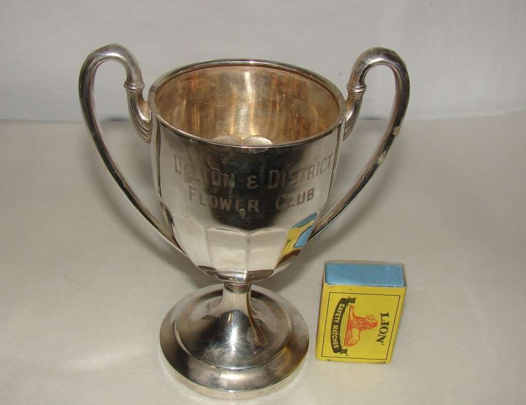 800 Silver Trophy  155g