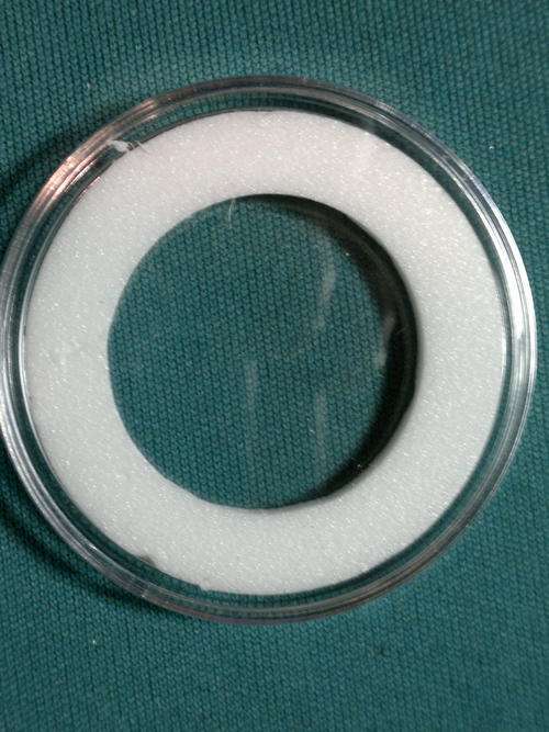 40mm Coin Capsule with white inner ring that will fit any coin from a 26mm to a 39mm Coin