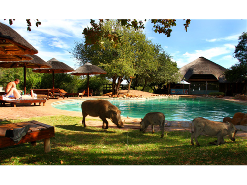 Public Holiday Midweek Mabalingwe 24 Sep 18 to 28 Sep 18