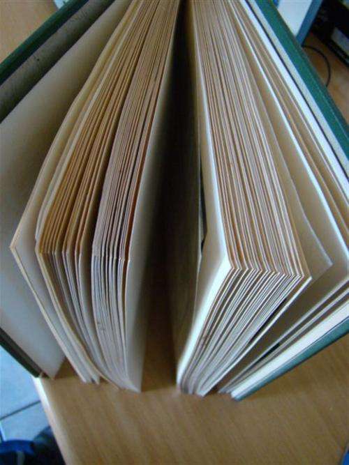 THIS IS AN ALMOST COMPLEET ALBUM WITH TRANSKEI CONTROL BLOCKS AND STRIPS HERE ARE SOME PHOTOS