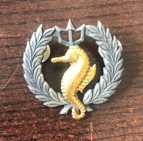 SOUTH AFRICA Navy Qualification Badge