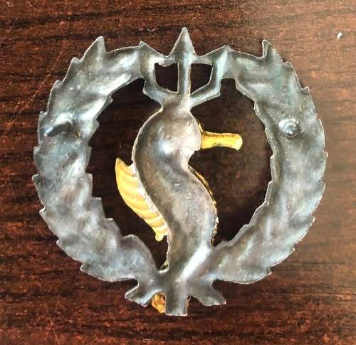 SOUTH AFRICA Navy Qualification Badge