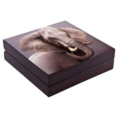  BIG 5 SILVER 5oz ELEPHANT, 1st 5oz (Series 2)