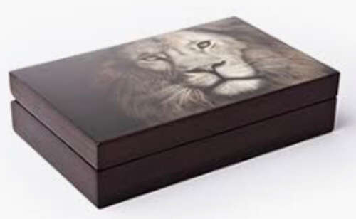 BIG 5 LION Twin Coin Proof Set (SILVER)