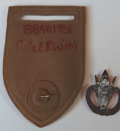 4 SAI tupper flash and beret badge