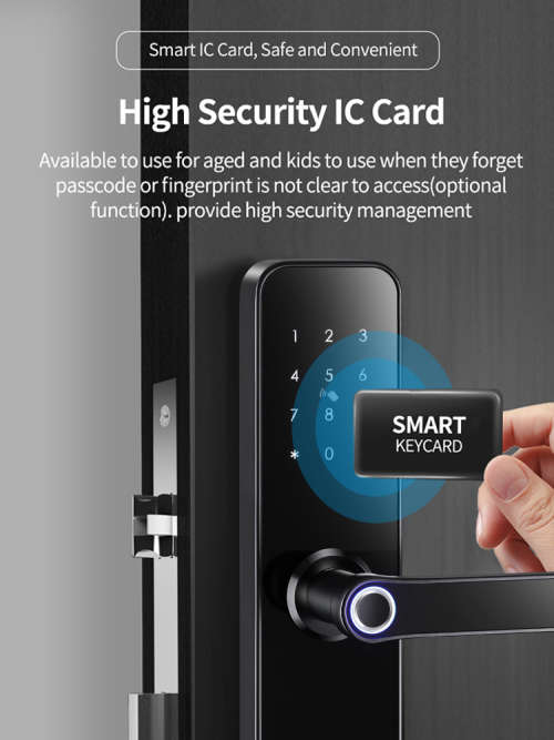 WIFI Control Smart Life Tuya Digital Smart Door Handle Lock (Black)