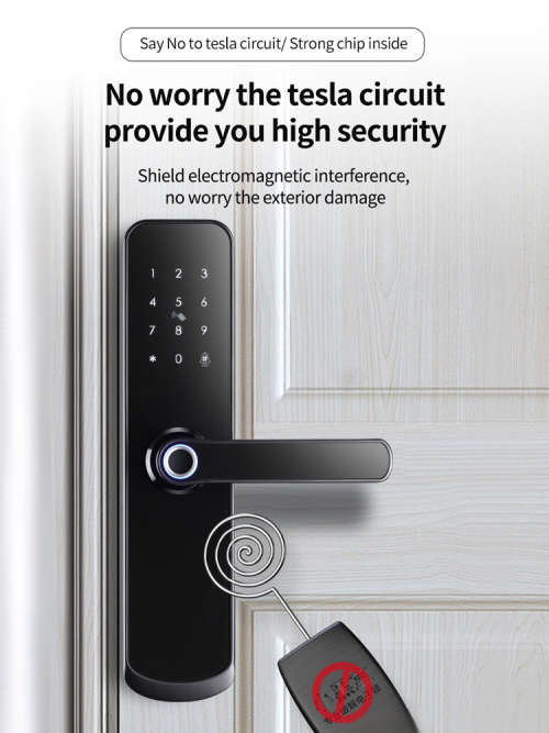 WIFI Control Smart Life Tuya Digital Smart Door Handle Lock (Black)