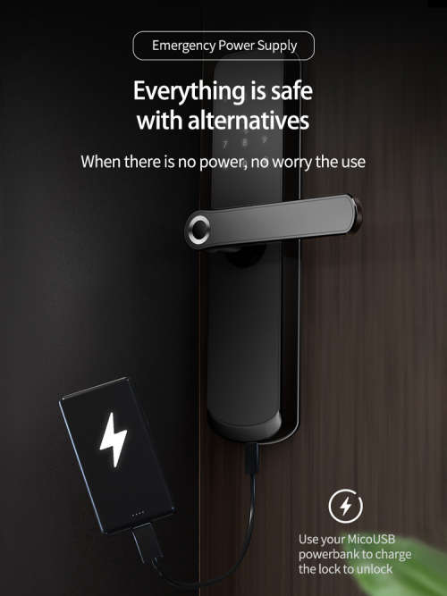 WIFI Control Smart Life Tuya Digital Smart Door Handle Lock (Black)