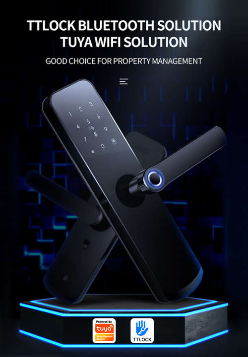 WIFI Control Smart Life Tuya Digital Smart Door Handle Lock (Black)