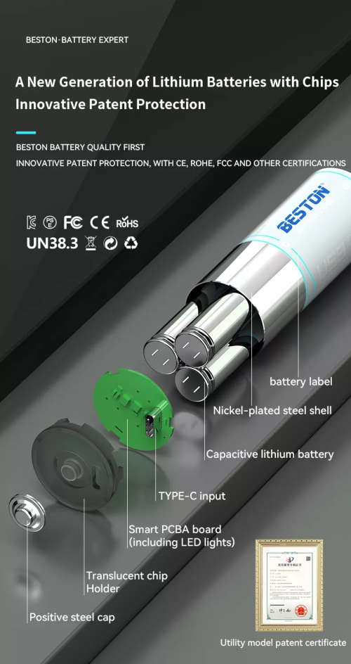 BESTON D Cell USB C Rechargeable Lithium Battery | 1.5V | 4000mAh | 1 Pack
