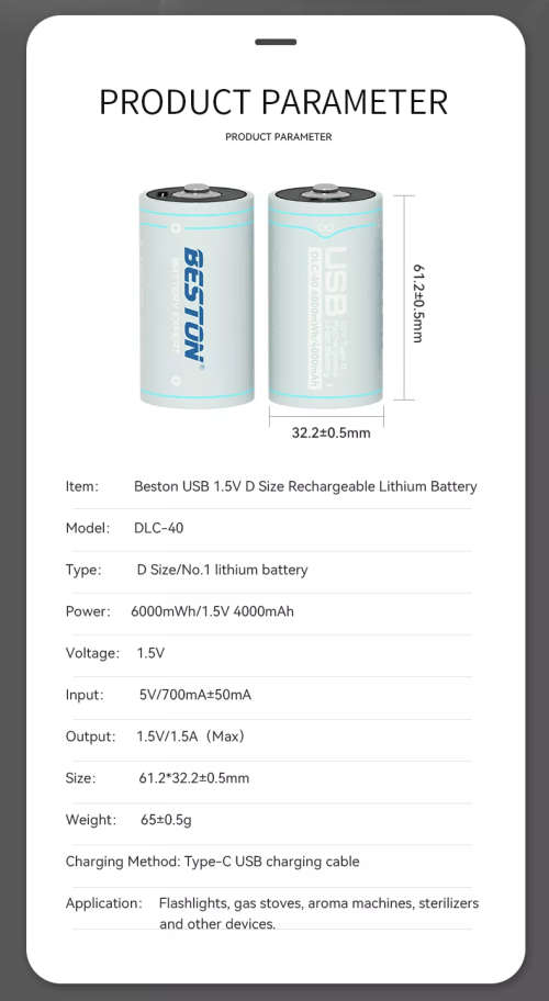 BESTON D Cell USB C Rechargeable Lithium Battery | 1.5V | 4000mAh | 1 Pack