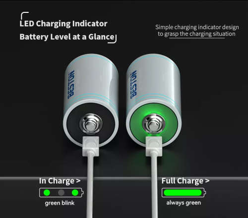 BESTON D Cell USB C Rechargeable Lithium Battery | 1.5V | 4000mAh | 1 Pack