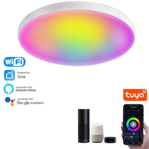 Smart Life Tuya WIFI Ceiling LED Light 24W CCT 2700-6500K | RGB 6-10W | 265V