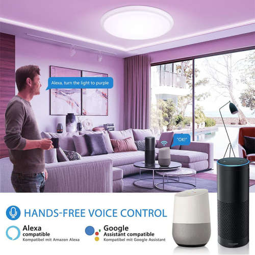 Smart Life Tuya WIFI Ceiling LED Light 24W CCT 2700-6500K | RGB 6-10W | 265V