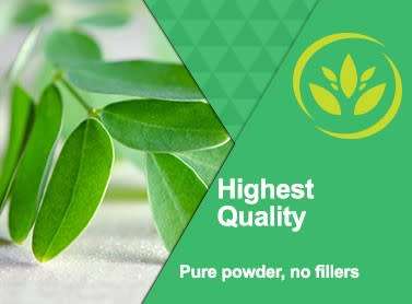 Moringa Leaf Powder Capsules (120 caps) - Moringa World