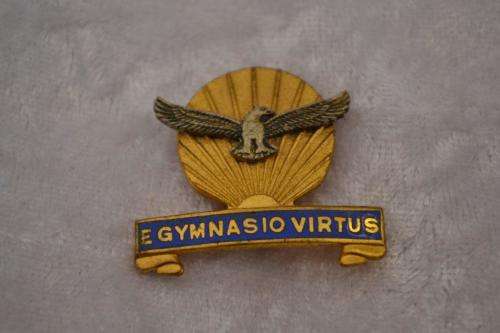 Air Force Gymnasium brooch.