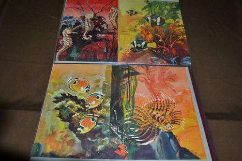 Folder with shipping Menues.