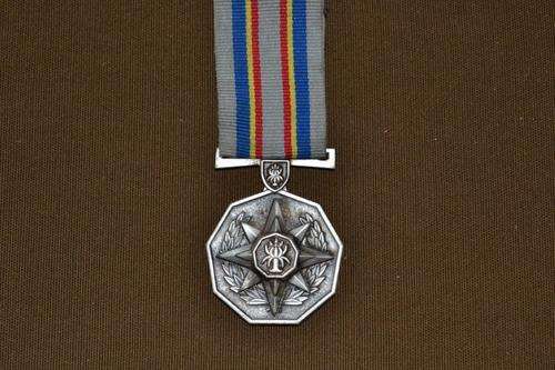 Full size SAPS 20 Year Service medal. Silver.