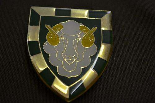 RegimentGroot Karoo Shoulder Flash. 3 Pins.