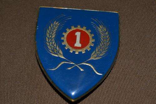 1 Maintenance Unit Shoulder Flash. 2 Pins.