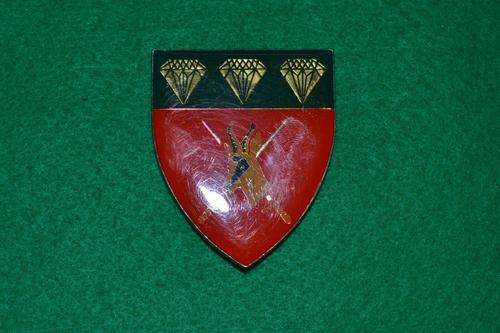 Northern Cape Command Shoulder Flash. 3 pins. Plastic coming loose.