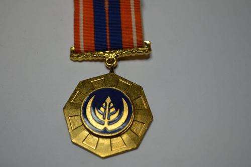 Full size Pro Patria with link suspender.