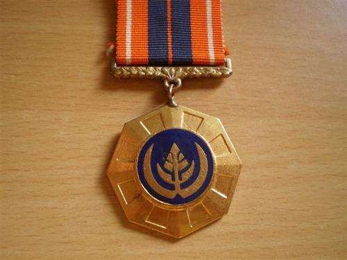 SADF Pro Patria medal Link suspender Type 2 by Metal Art