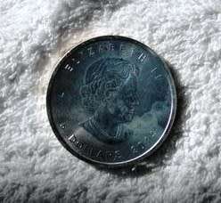 1 OZ 9999 SILVER CANADIAN MAPLE LEAF 5 DOLLAR COIN - 2014