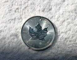 1 OZ 9999 SILVER CANADIAN MAPLE LEAF 5 DOLLAR COIN - 2014