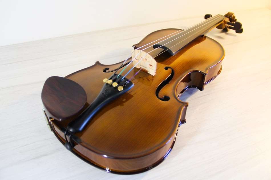 STENTOR Student I Violin (Full Size - 4/4) Immaculate