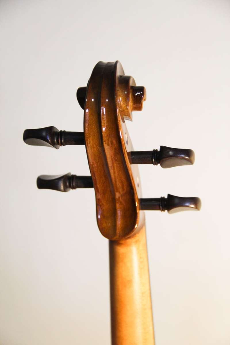 STENTOR Student I Violin (Full Size - 4/4) Immaculate