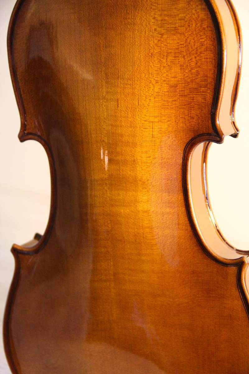 STENTOR Student I Violin (Full Size - 4/4) Immaculate