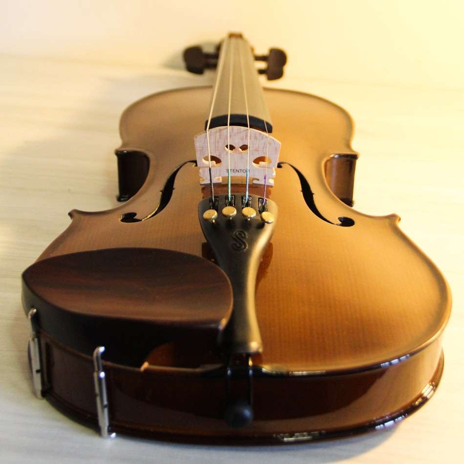 STENTOR Student I Violin (Full Size - 4/4) Immaculate