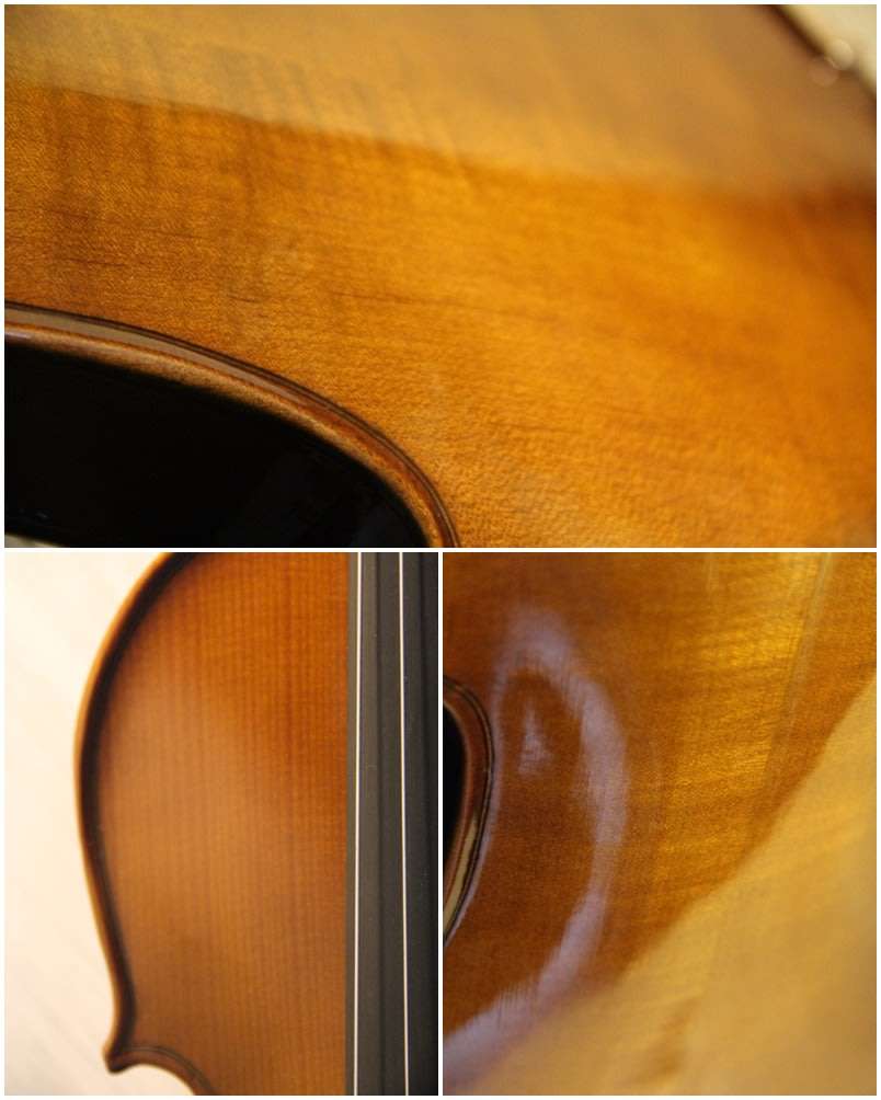 STENTOR Student I Violin (Full Size - 4/4) Immaculate