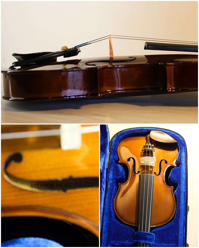 STENTOR Student I Violin (Full Size - 4/4) Immaculate