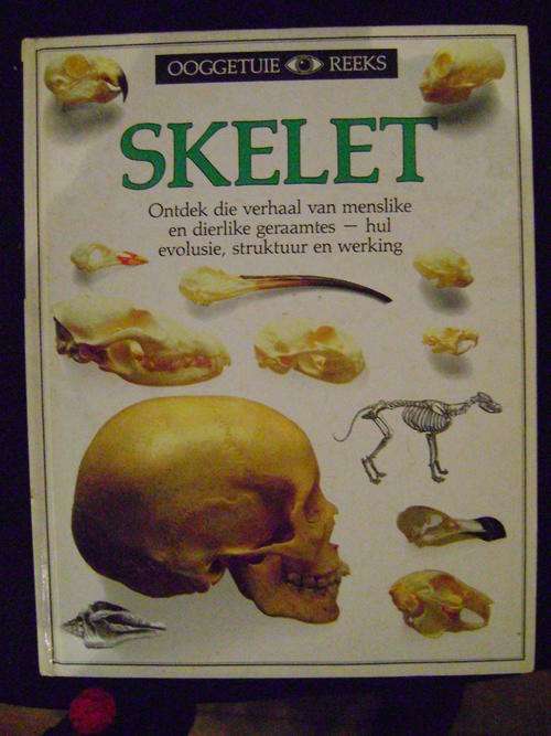 OOGGETUIE REEKS - Skelet