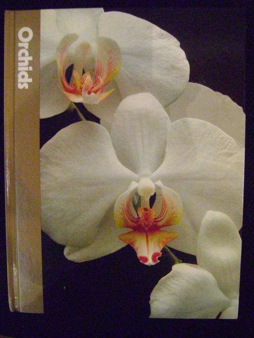 Orchids - Alice Skelsey