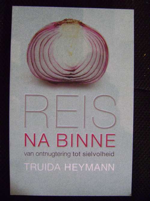 Reis na binne - Truida Heymann