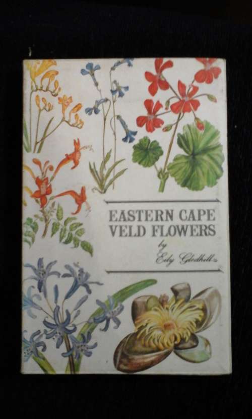 Eastern Cape Veld Flowers - Eily Gledhill
