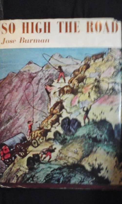 So high the road: mountain passes of the western Cape - Jose Burman