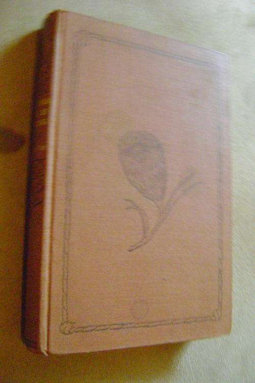 Verhale van Misterie en verbeelding - Edgar Allan Poe (Vertaal deur Pierre Renaud)