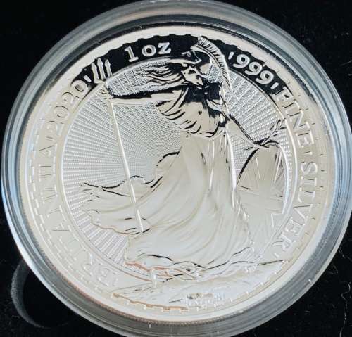 2020 Britannia 1oz Pure Fine Silver Bullion Coin in Capsule