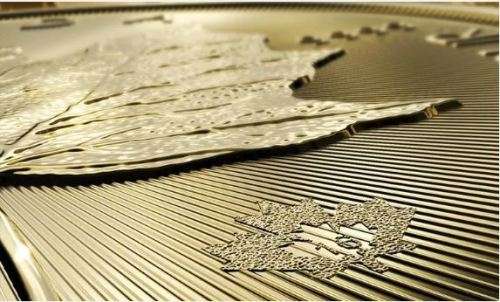 2020 Royal Canadian Mint Maple Leaf 1oz Pure Fine Silver Bullion Coin in Capsule