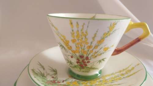 Delightful in yellow and green Royal Stafford Broom pattern Trio