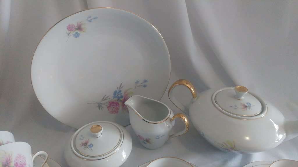 Lovely hand painted Bavaria Buhler/Wilhelmina Porcelain Tea set