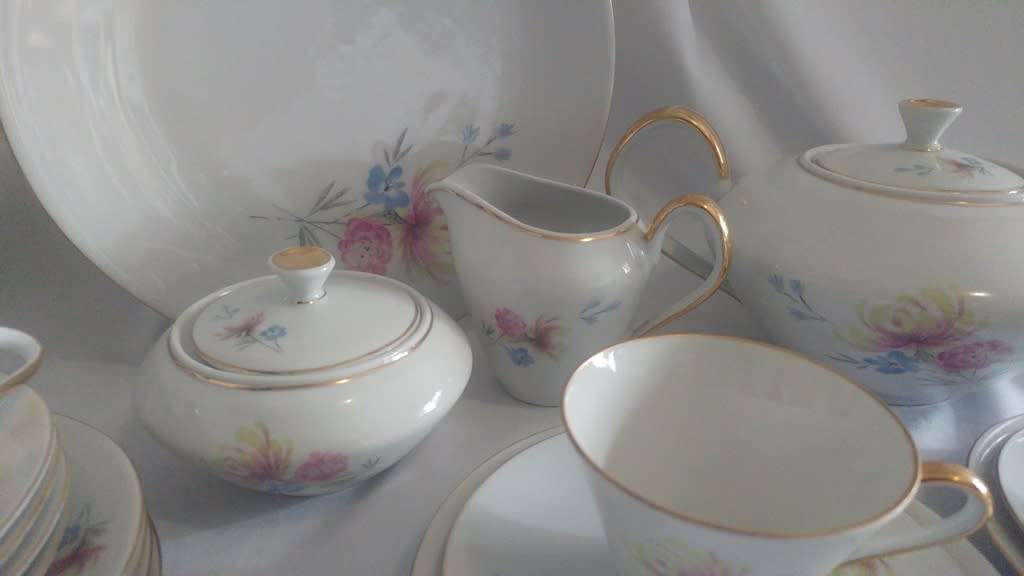 Lovely hand painted Bavaria Buhler/Wilhelmina Porcelain Tea set