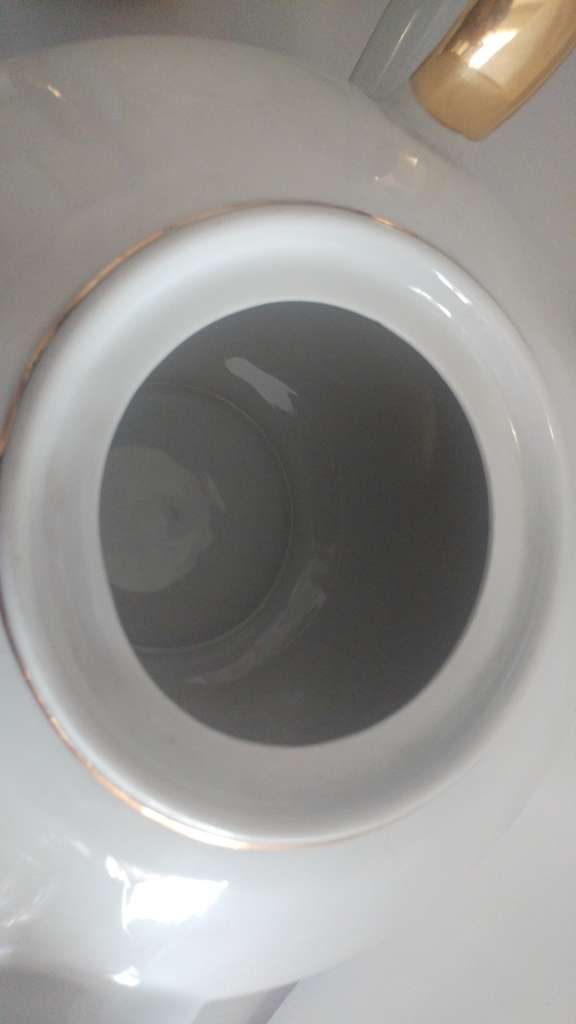 Lovely hand painted Bavaria Buhler/Wilhelmina Porcelain Tea set